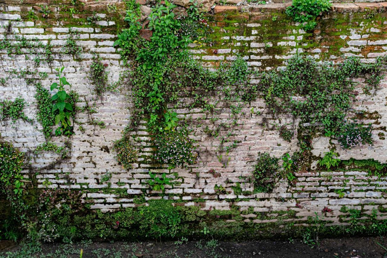 Casa Montana Hotel Chichicastenango Eksteriør billede